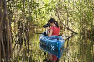 Read more about the article Florida’s fabulous national parks – Lonely Planet