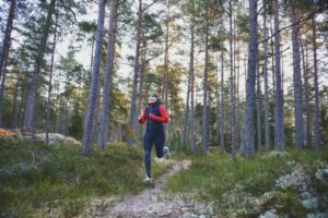 Read more about the article The best trail runs in Sweden